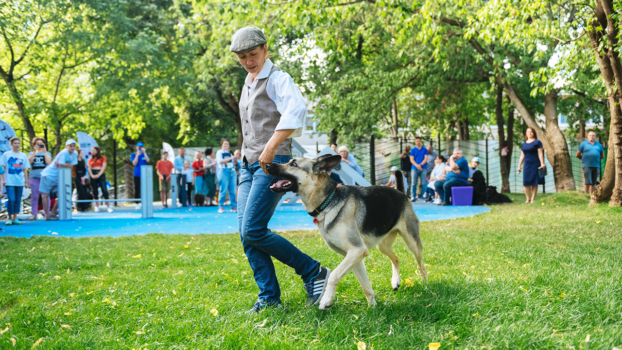 Площадка для собак на улице Куусинена (САО, Хорошевский)