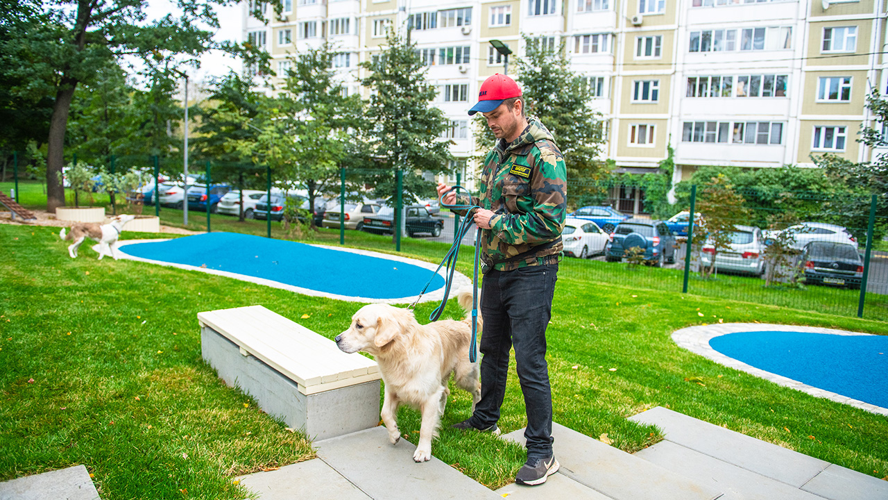 Площадка для собак на улице Беловежская (ЗАО, Можайский)