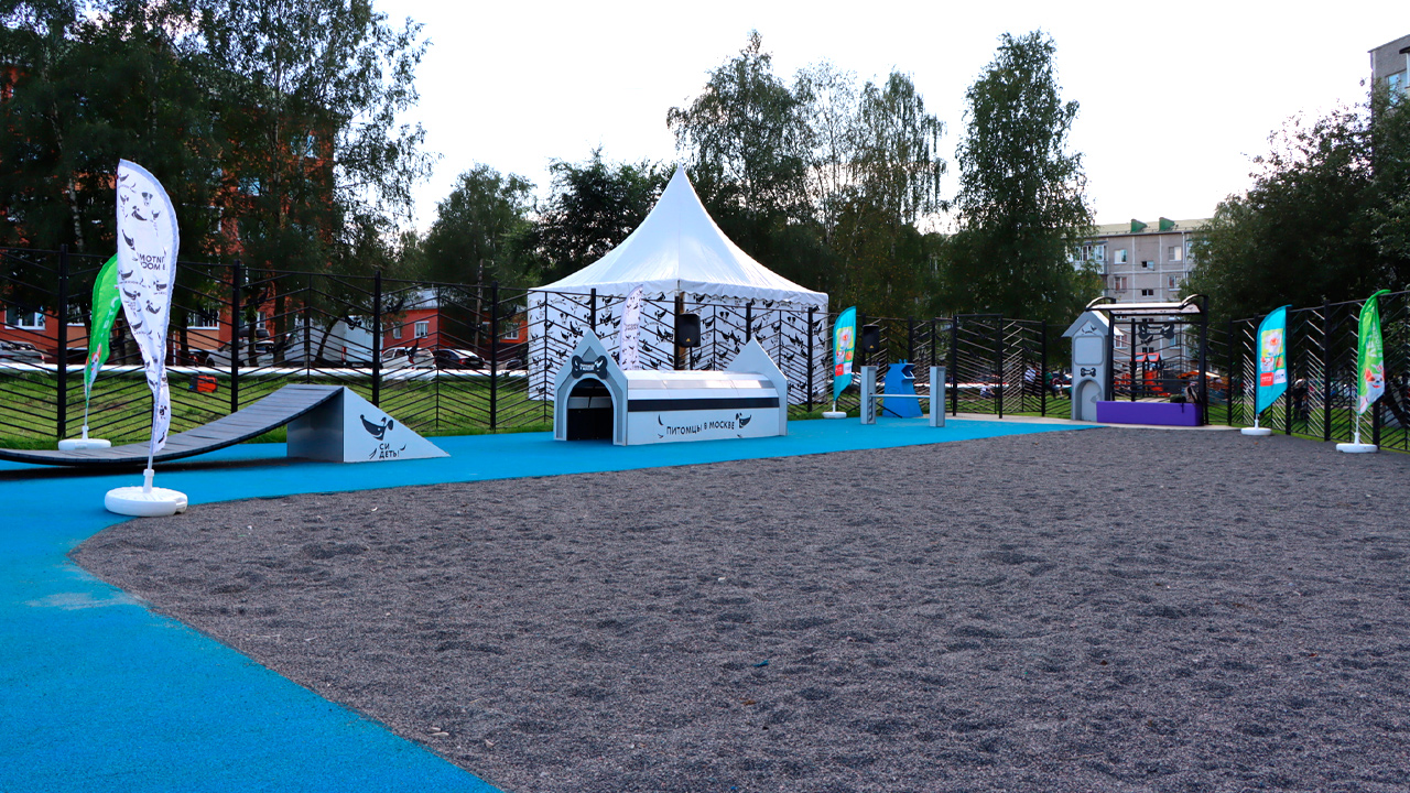 Площадка для выгула собак на улице Октябрьская (ТиНАО, с. Кленово)