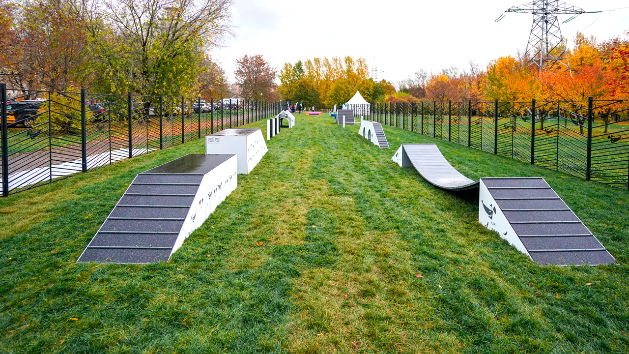 Площадка для выгула собак на улице Борисовские Пруды (ЮАО, Москворечье-Сабурово)