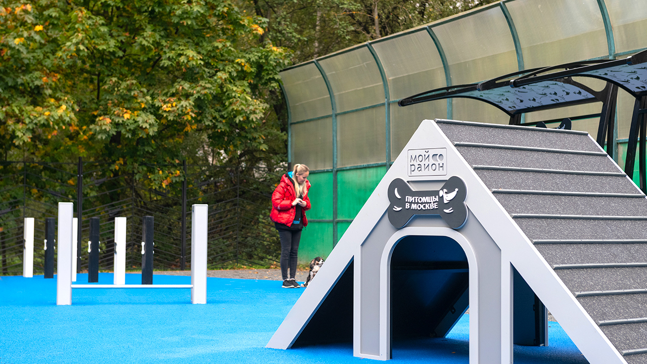 Площадка для выгула собак на улице Корнейчука (СВАО, Бибирево)