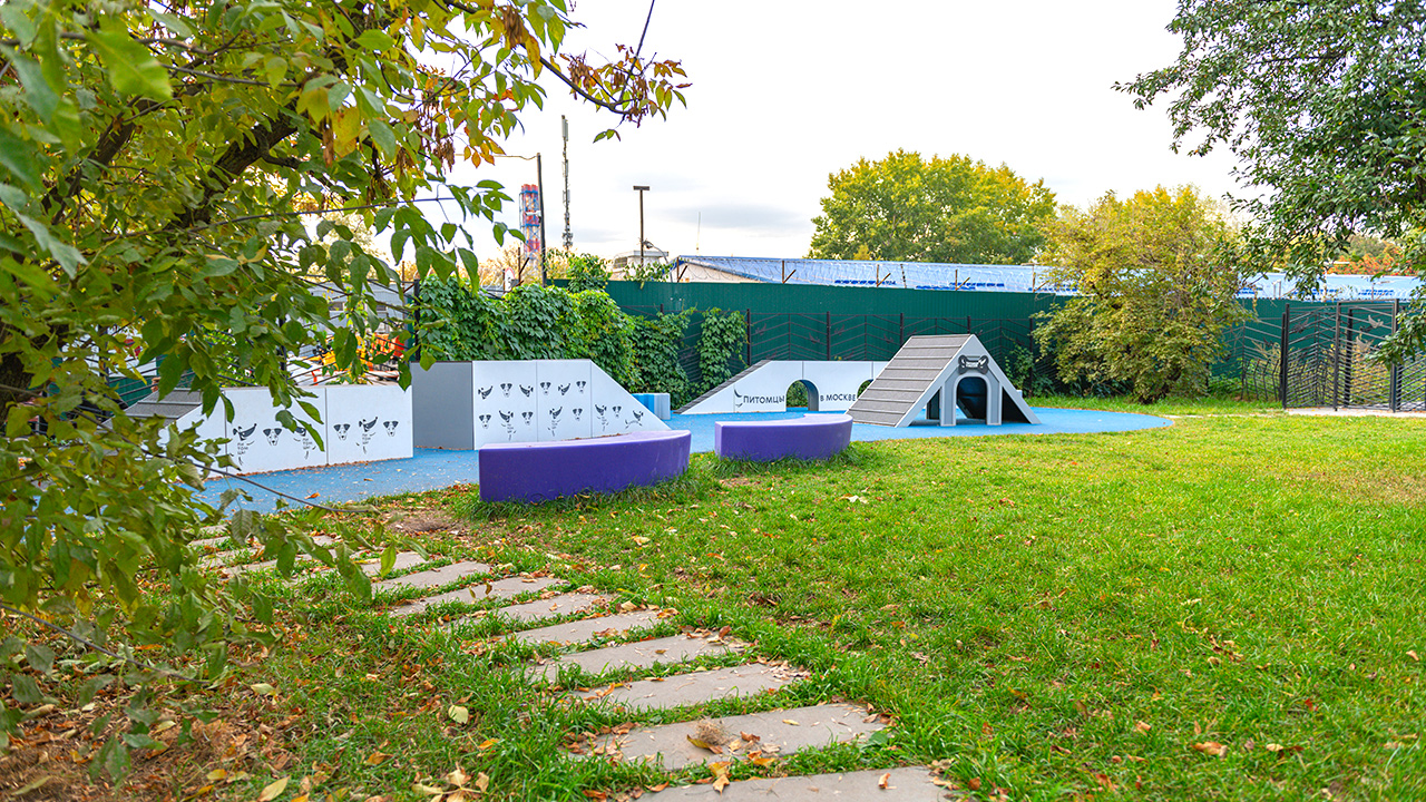 Площадка для выгула собак на Неманском проезде (СЗАО, Строгино)