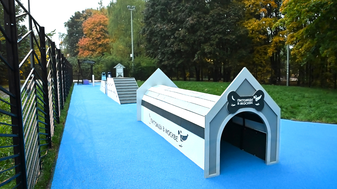 Площадка для выгула собак на улице Удальцова (ЗАО, Проспект Вернадского)