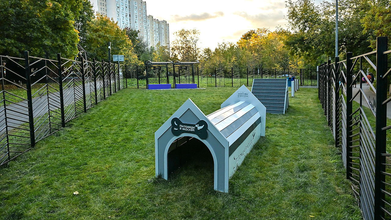 Площадка для выгула собак на улице Краснодонская (ЮВАО, Люблино)