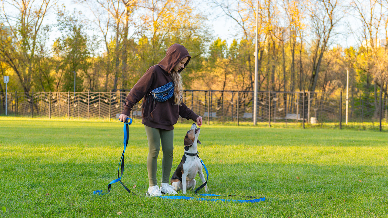 В Москве открылась запись в «Школу кинолога» – бесплатный курс кинологии для детей и подростков
